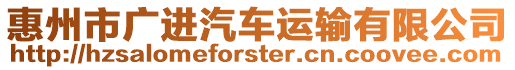 惠州市廣進(jìn)汽車(chē)運(yùn)輸有限公司