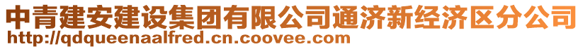 中青建安建設(shè)集團(tuán)有限公司通濟(jì)新經(jīng)濟(jì)區(qū)分公司