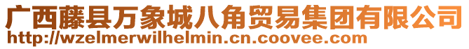 廣西藤縣萬象城八角貿(mào)易集團有限公司