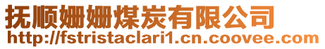撫順姍姍煤炭有限公司