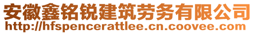 安徽鑫銘銳建筑勞務(wù)有限公司