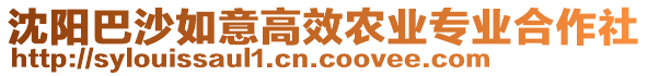 沈陽巴沙如意高效農(nóng)業(yè)專業(yè)合作社