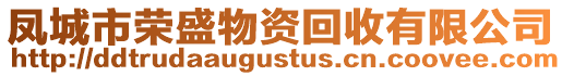 鳳城市榮盛物資回收有限公司