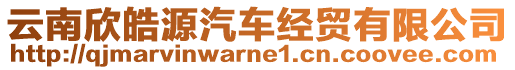 云南欣皓源汽車經貿有限公司