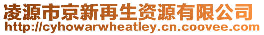 凌源市京新再生資源有限公司