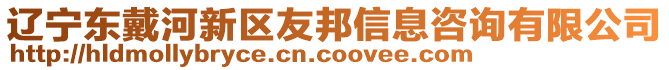 遼寧東戴河新區(qū)友邦信息咨詢有限公司