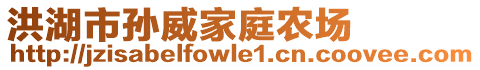 洪湖市孫威家庭農(nóng)場