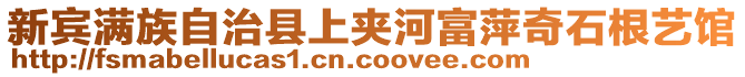 新賓滿族自治縣上夾河富萍奇石根藝館