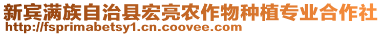 新賓滿族自治縣宏亮農(nóng)作物種植專業(yè)合作社