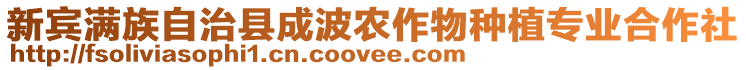 新賓滿族自治縣成波農(nóng)作物種植專業(yè)合作社