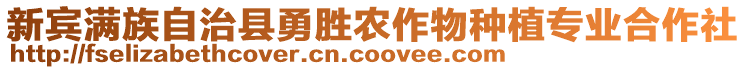 新賓滿族自治縣勇勝農(nóng)作物種植專業(yè)合作社