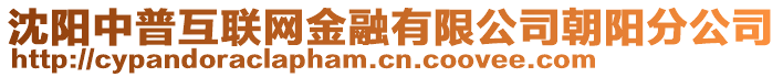 沈陽(yáng)中普互聯(lián)網(wǎng)金融有限公司朝陽(yáng)分公司