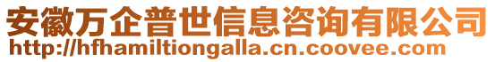 安徽萬企普世信息咨詢有限公司