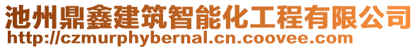 池州鼎鑫建筑智能化工程有限公司