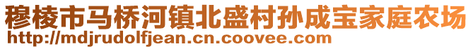 穆棱市馬橋河鎮(zhèn)北盛村孫成寶家庭農(nóng)場(chǎng)