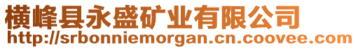 橫峰縣永盛礦業(yè)有限公司