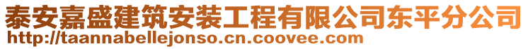 泰安嘉盛建筑安裝工程有限公司東平分公司