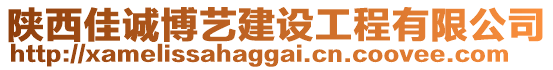 陜西佳誠博藝建設(shè)工程有限公司