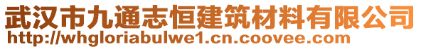 武漢市九通志恒建筑材料有限公司