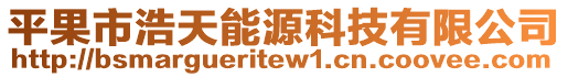 平果市浩天能源科技有限公司