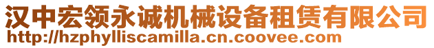 漢中宏領(lǐng)永誠(chéng)機(jī)械設(shè)備租賃有限公司