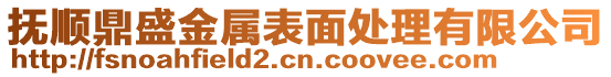 撫順鼎盛金屬表面處理有限公司