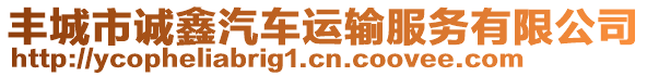 豐城市誠鑫汽車運輸服務有限公司