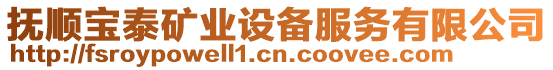 撫順寶泰礦業(yè)設(shè)備服務(wù)有限公司