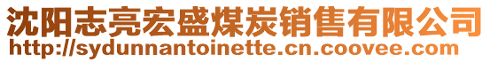 沈陽(yáng)志亮宏盛煤炭銷(xiāo)售有限公司