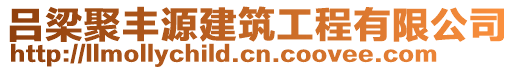 呂梁聚豐源建筑工程有限公司