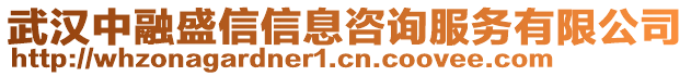 武漢中融盛信信息咨詢服務(wù)有限公司