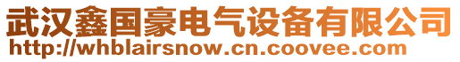 武漢鑫國豪電氣設(shè)備有限公司