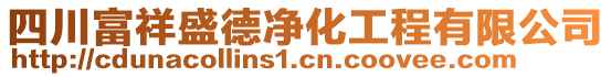 四川富祥盛德凈化工程有限公司