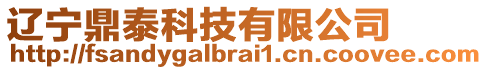 遼寧鼎泰科技有限公司