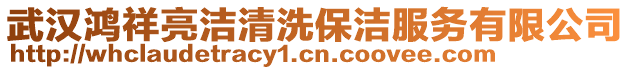 武漢鴻祥亮潔清洗保潔服務有限公司