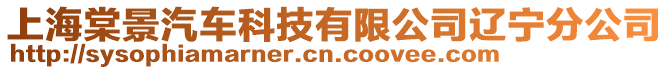 上海棠景汽車科技有限公司遼寧分公司