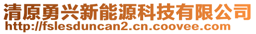 清原勇興新能源科技有限公司