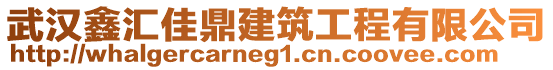 武漢鑫匯佳鼎建筑工程有限公司