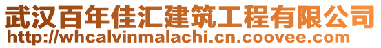 武漢百年佳匯建筑工程有限公司