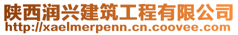 陜西潤興建筑工程有限公司