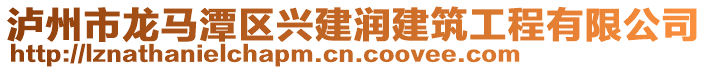 瀘州市龍馬潭區(qū)興建潤建筑工程有限公司