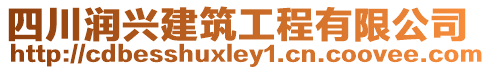 四川潤興建筑工程有限公司