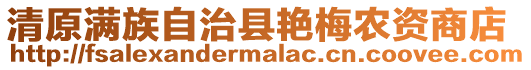 清原滿族自治縣艷梅農資商店