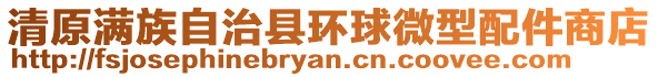 清原滿族自治縣環球微型配件商店