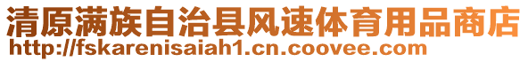 清原滿族自治縣風速體育用品商店