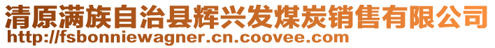 清原滿族自治縣輝興發(fā)煤炭銷售有限公司