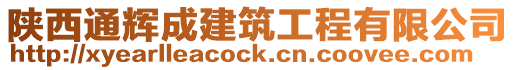 陜西通輝成建筑工程有限公司