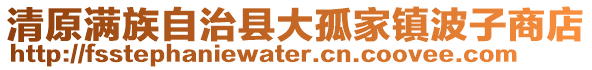 清原滿族自治縣大孤家鎮(zhèn)波子商店