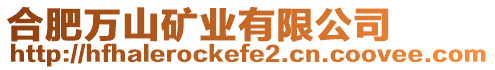 合肥萬山礦業(yè)有限公司