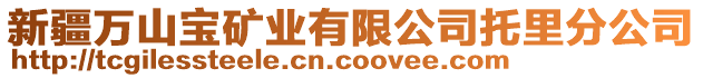 新疆萬山寶礦業(yè)有限公司托里分公司